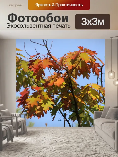 Фотообои Лес