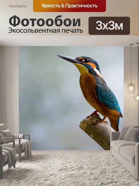 Фотообои Цвет красоты