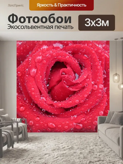 Фотообои Розы