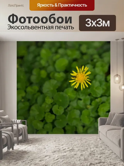 Фотообои Цветы