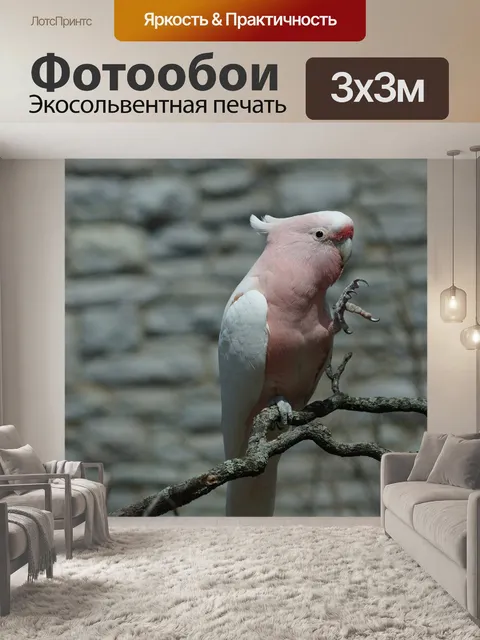 Фотообои Птица