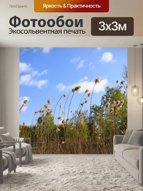 Фотообои Фон