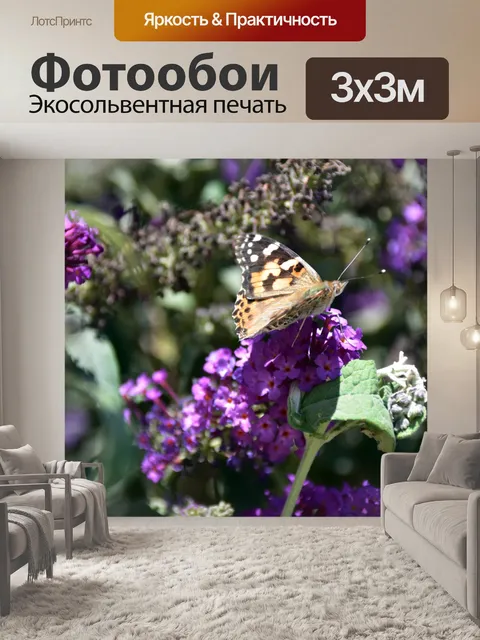 Фотообои бабочка на лаванде