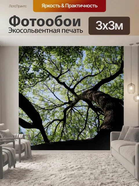 Фотообои великого старого дерева