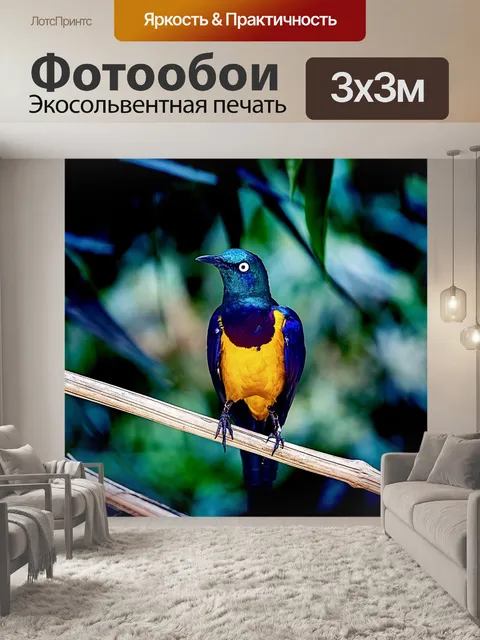 Фотообои Птицы