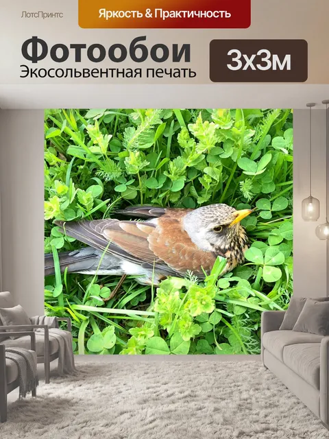 Фотообои Природа