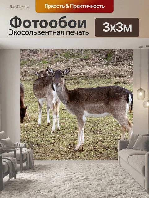 Фотообои Олень