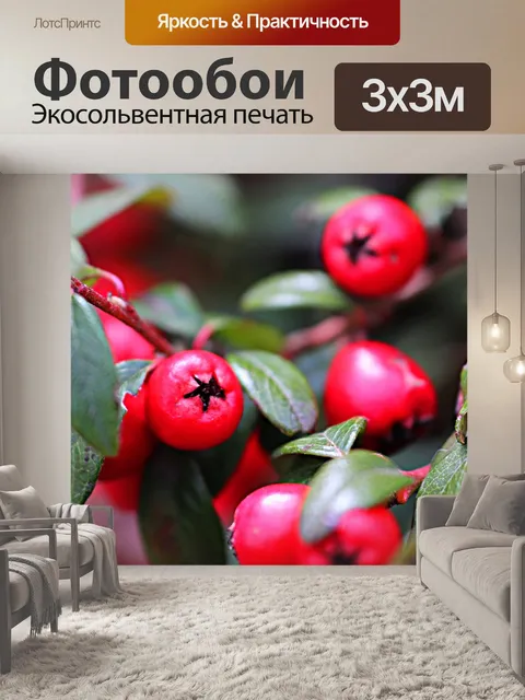 Фотообои Лист