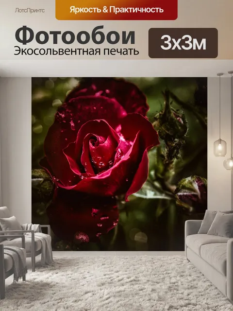 Фотообои Роза