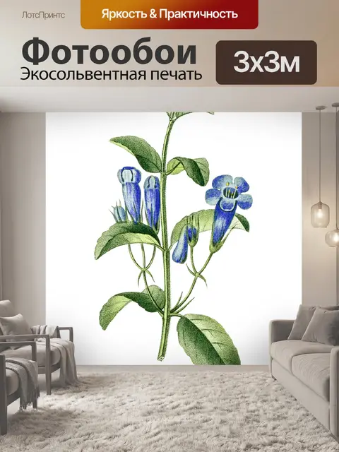 Фотообои Клипарт Flowers art vintage