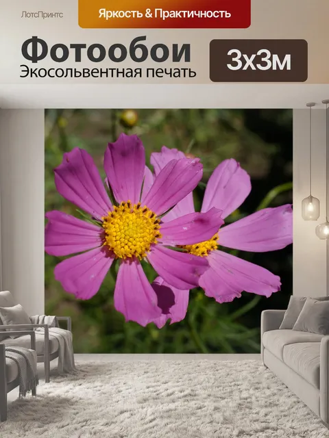 Фотообои Цветы