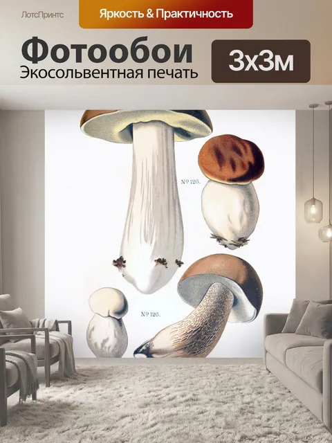 Фотообои Грибы винтаж арт старый
