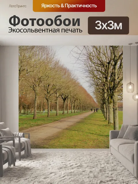Фотообои Дорога