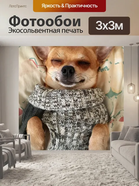 Фотообои Собака