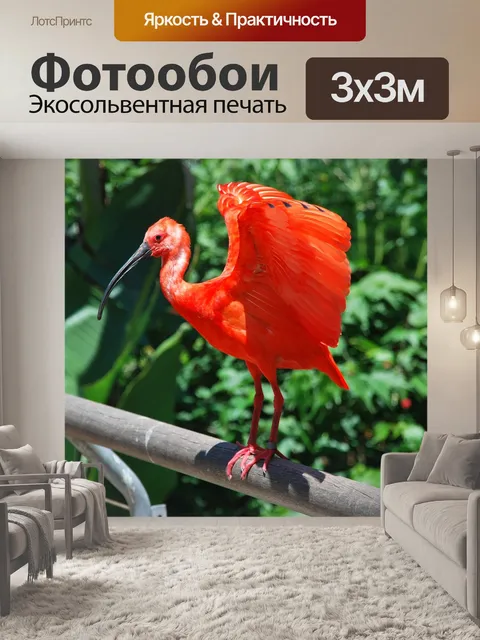 Фотообои Птица