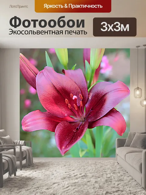 Фотообои Лилии