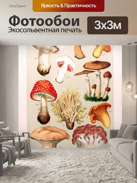 Фотообои Грибы ядовитые старинные искусства