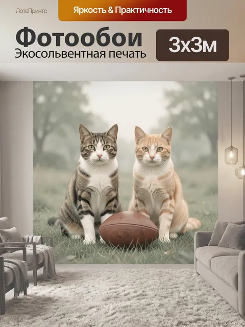 Фотообои Два кота с мячом на траве