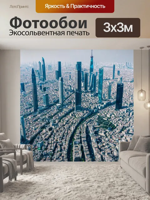 Фотообои пейзаж мегаполиса с высоты птичьего полета