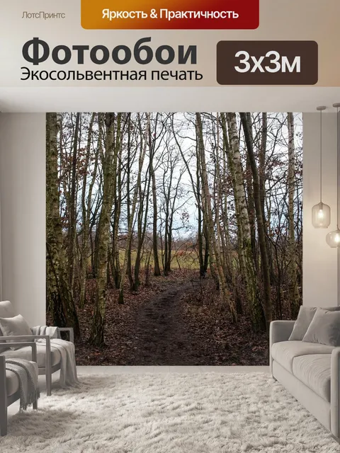 Фотообои Лес