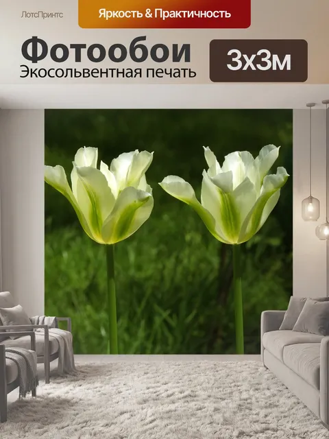 Фотообои Тюльпаны