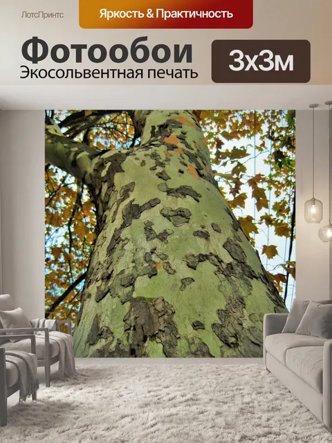 Фотообои самолет ствол дерева