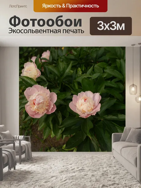 Фотообои Пионы