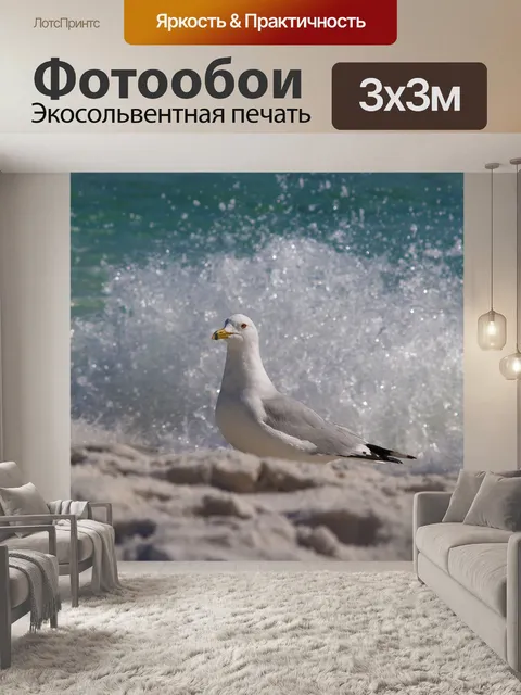 Фотообои Птица