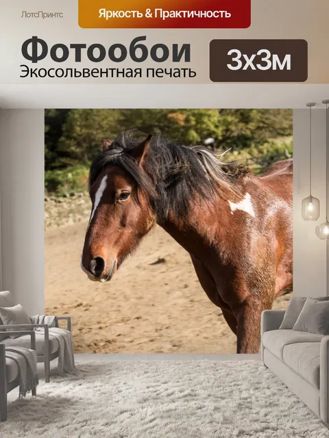 Фотообои лошадь