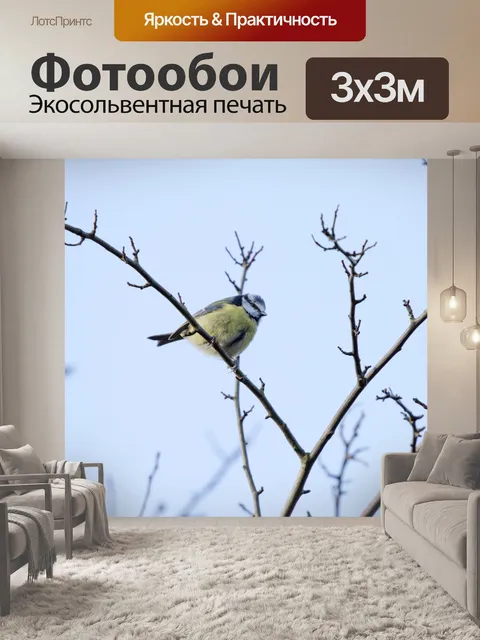 Фотообои Великая Тит