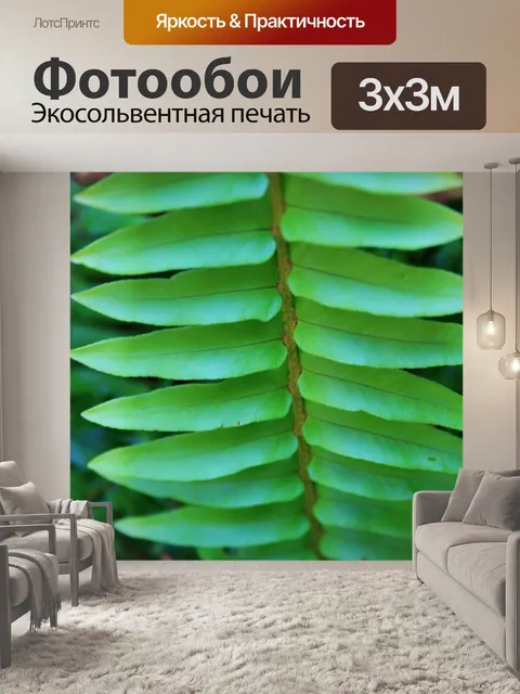 Фотообои зеленый листья папоротника