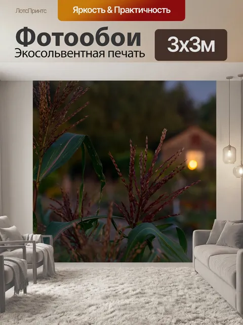 Фотообои Вечер
