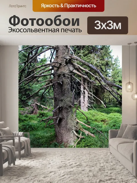 Фотообои Дерево
