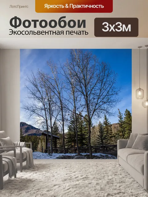 Фотообои Снег и голые деревья