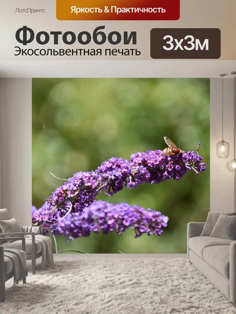 Фотообои Цветы