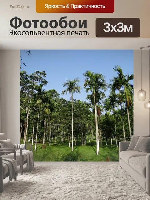 Фотообои Пальма арека