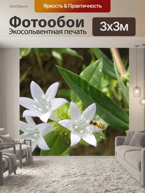 Фотообои Цветы