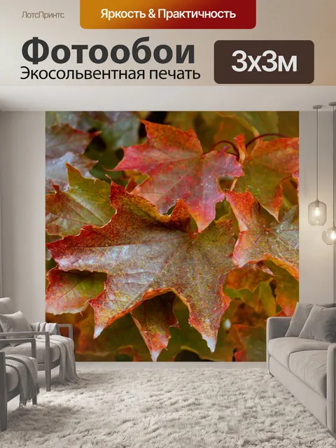 Фотообои Листья
