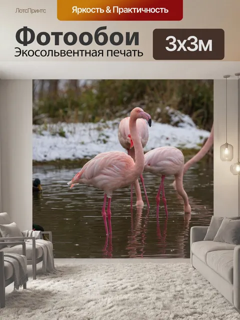Фотообои Фламинго