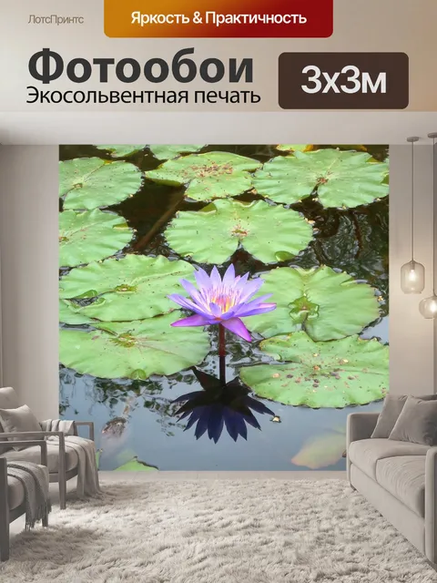 Фотообои Цветок
