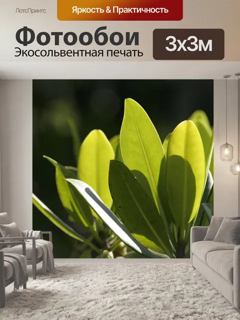 Фотообои Листья