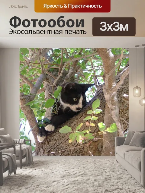 Фотообои Кошка