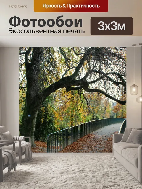 Фотообои Падение