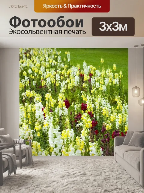 Фотообои Цветы
