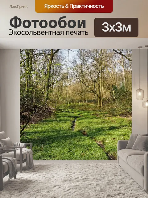 Фотообои Лес