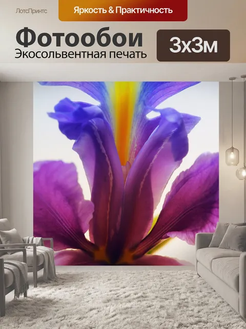 Фотообои Ирис