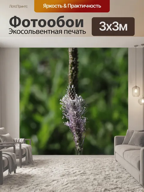 Фотообои Цветы