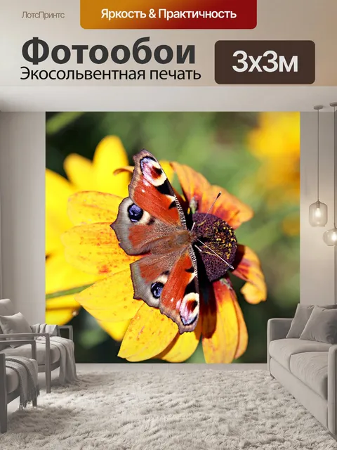 Фотообои Бабочка