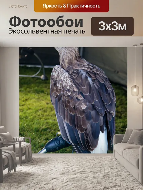 Фотообои Eagle Хищная птица
