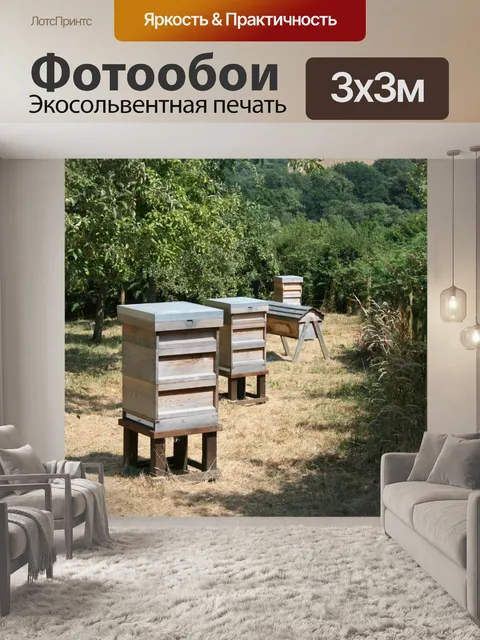 Фотообои Ульи